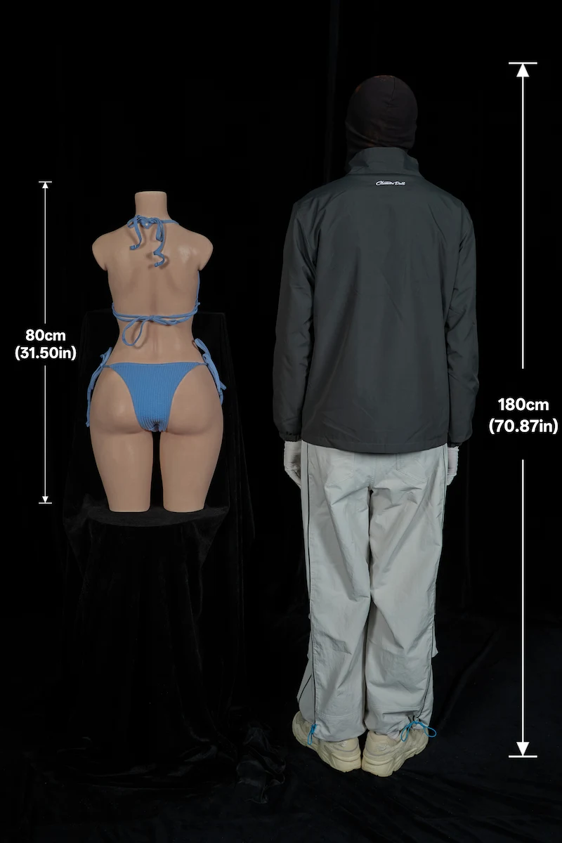 Silicone-sex-doll-torso-881-torso-back-size-display