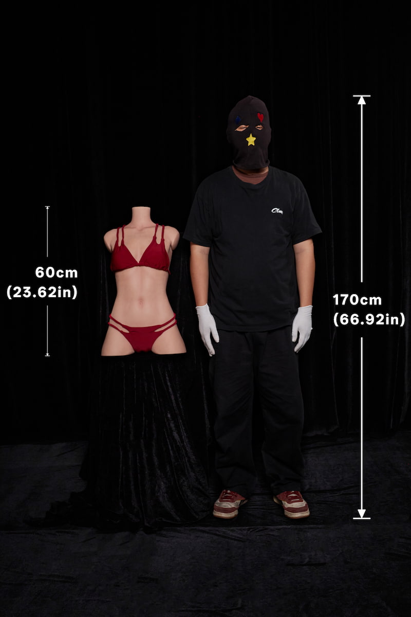 ULW661#Miyoshi Size Comparison: A 60cm mini realistic torso displayed alongside a 170cm adult male, intuitively showing its compact, small-scale proportions.