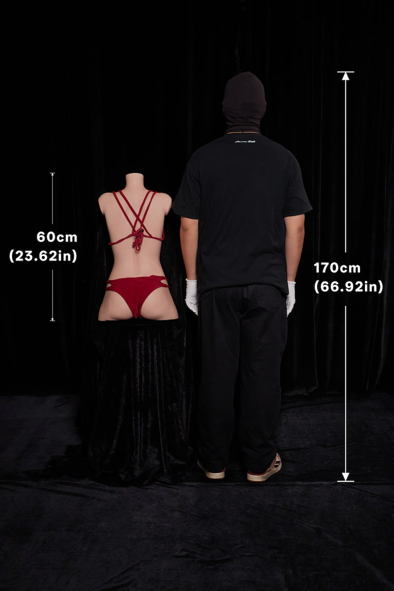 ULW661#Miyoshi Size Comparison (60cm Rear View): A height comparison between the 60cm sex doll and a 170cm adult male from behind, highlighting its compact proportions.