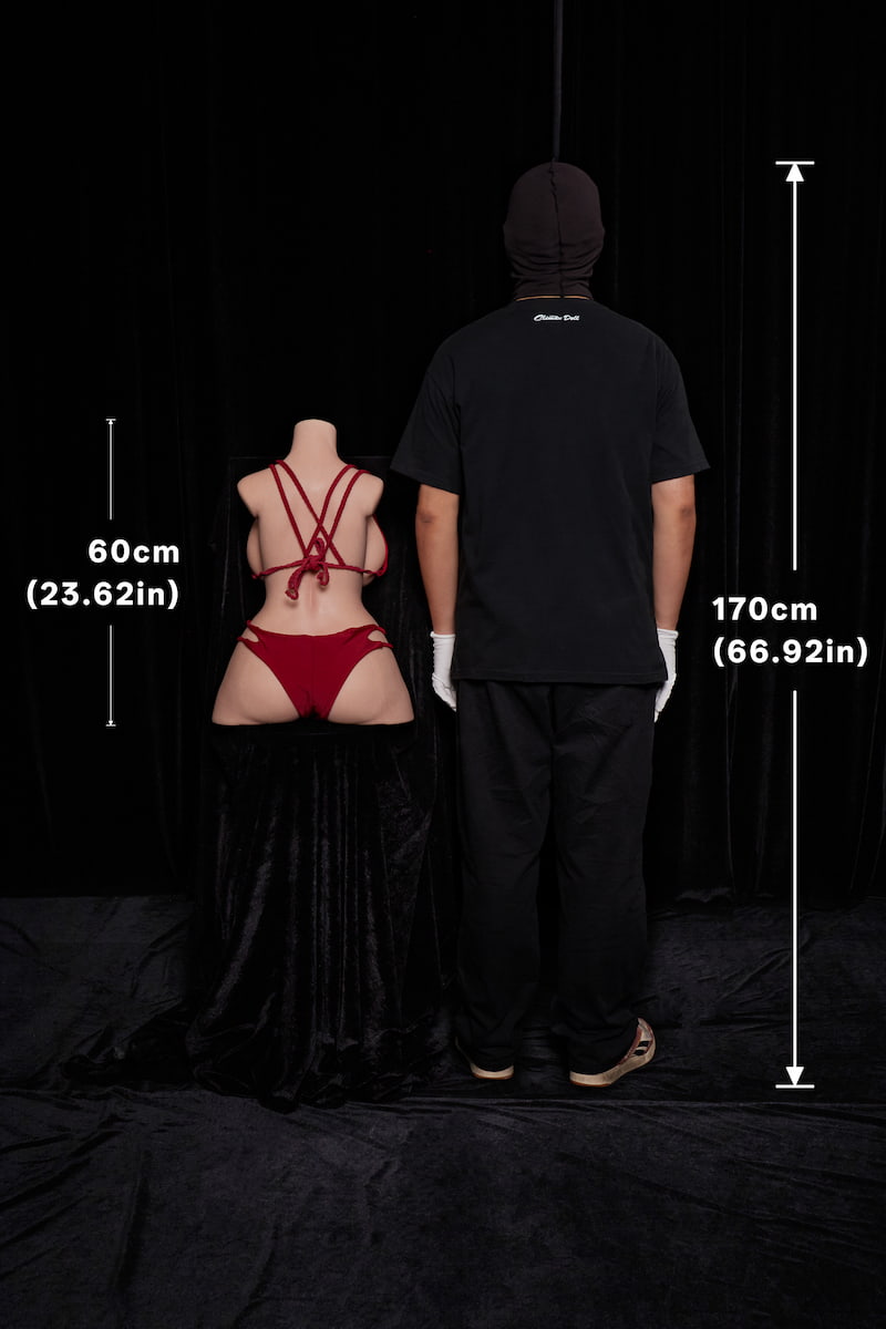ULW 664# Meru: This rear size-comparison photo displays the torso doll with a labeled height of 60cm next to a human, highlighting her fair realistic skin, a smooth spinal line, and well-rounded buttocks.