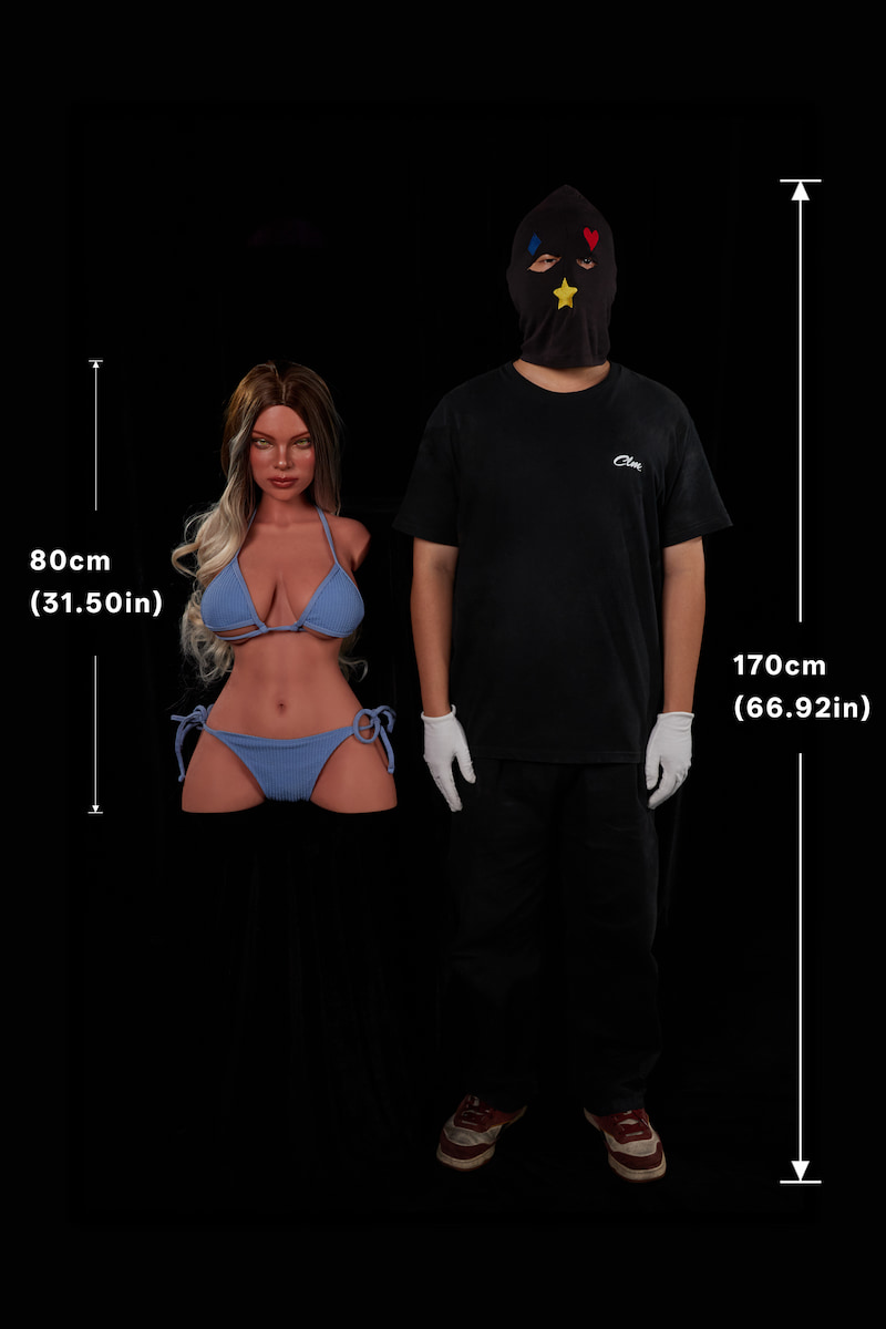 ULW662#Hedia: This front-view size comparison chart intuitively illustrates the doll's proportions relative to a reference, marking key height and width parameters to help users easily gauge the product's actual physical scale.