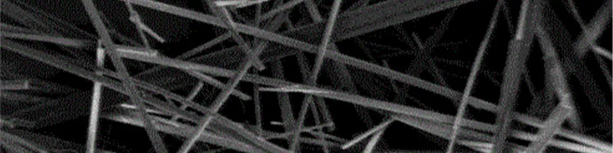 Silicon carbide fiber