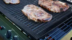 PTFE Mesh Grill Mat