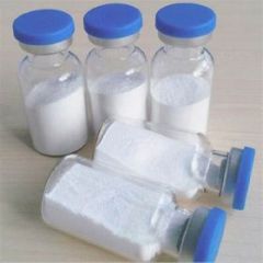 Ozempic semaglutides Peptide For Sale - 910463-68-2 Semaglutides