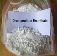 Drostanolone Enanthate