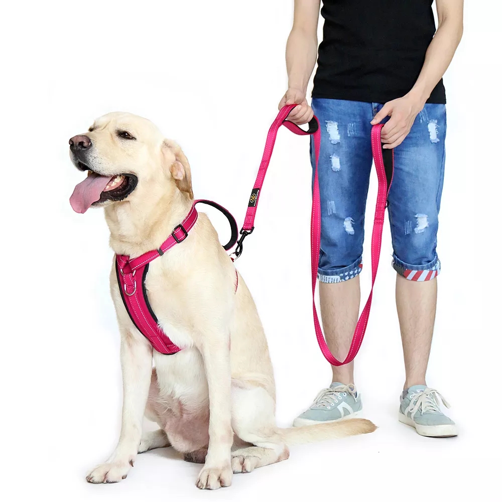 6ft 8ft Traffic Leash, Soft Neoprene Padding, Reflective Nylon