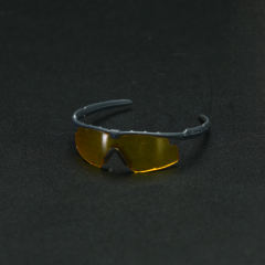 ESS Glasses TypeA(orange)