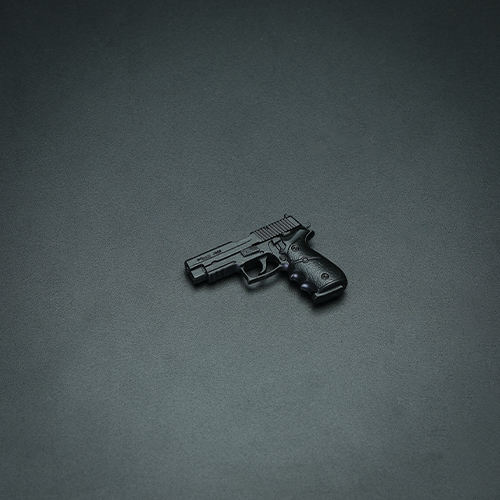 P220 Pistol Standard(black)