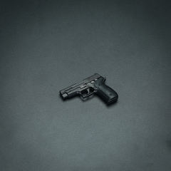 P226 Pistol Standard(black)