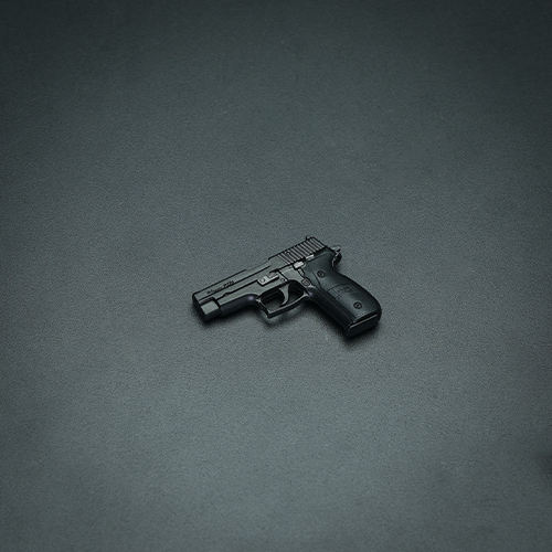 P226 Pistol Standard(black)