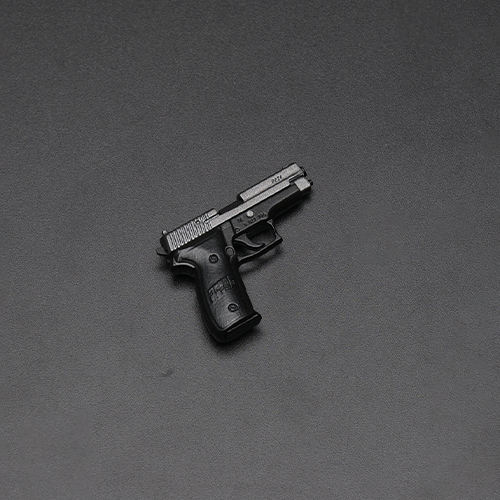 P226 Pistol Standard(black)