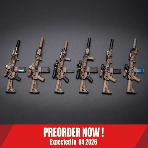 Easy&Simple 06048 NSWDG ASSAULT RIFLE CHRONOLOGY PART II N4 SET