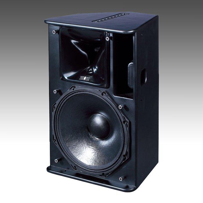 Multi-functional Full Range Speaker SPS10