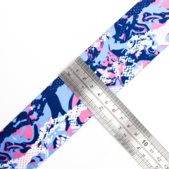 Heat Transfer Polyester Webbing