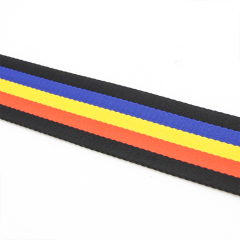 Rainbow Nylon Jacquard Webbing