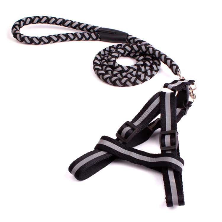 2024宠物用品批发定制反光尼龙绳狗项圈皮带反光狗绳