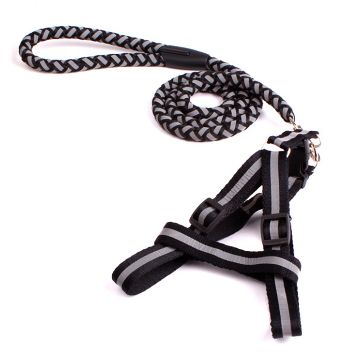 2024宠物用品批发定制反光尼龙绳狗项圈皮带反光狗绳