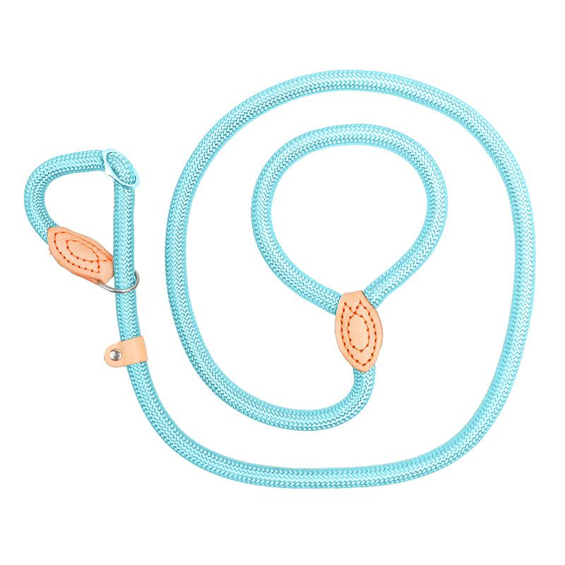 定制宠物猫项圈训练绳套装宠物狗尼龙2合1狗绳带