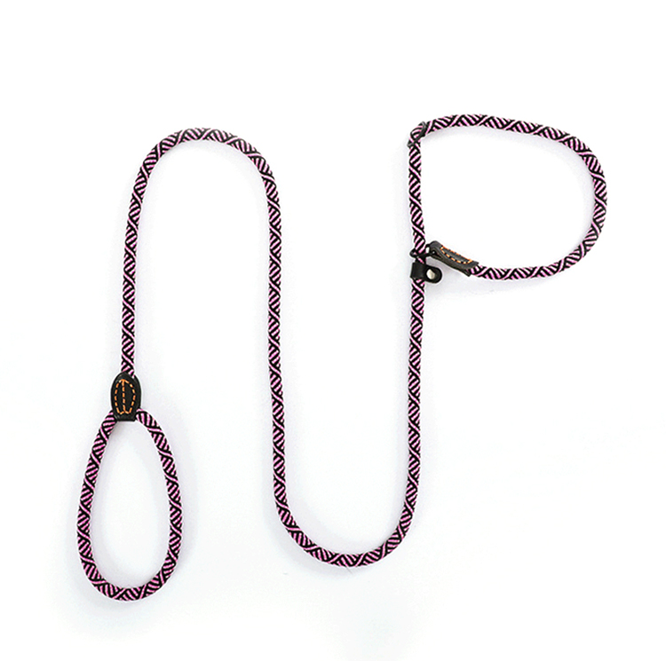 宠物绳猫项圈训练皮带狗项圈和皮带套装宠物狗聚酯宠物项圈皮带