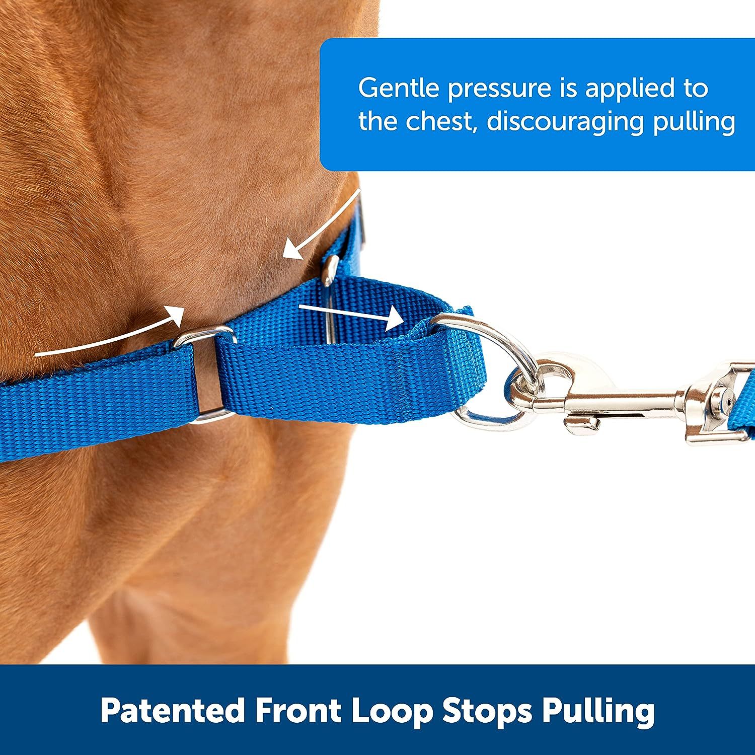 Pet Supplies Wholesale Dog Chain Pet Collar Neck Set Dog Leash Nylon Custom Tactical Pet Collar Walking Dog Leash Collar
