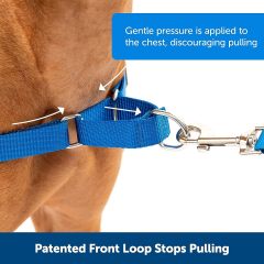 Pet Supplies Wholesale Dog Chain Pet Collar Neck Set Dog Leash Nylon Custom Tactical Pet Collar Walking Dog Leash Collar
