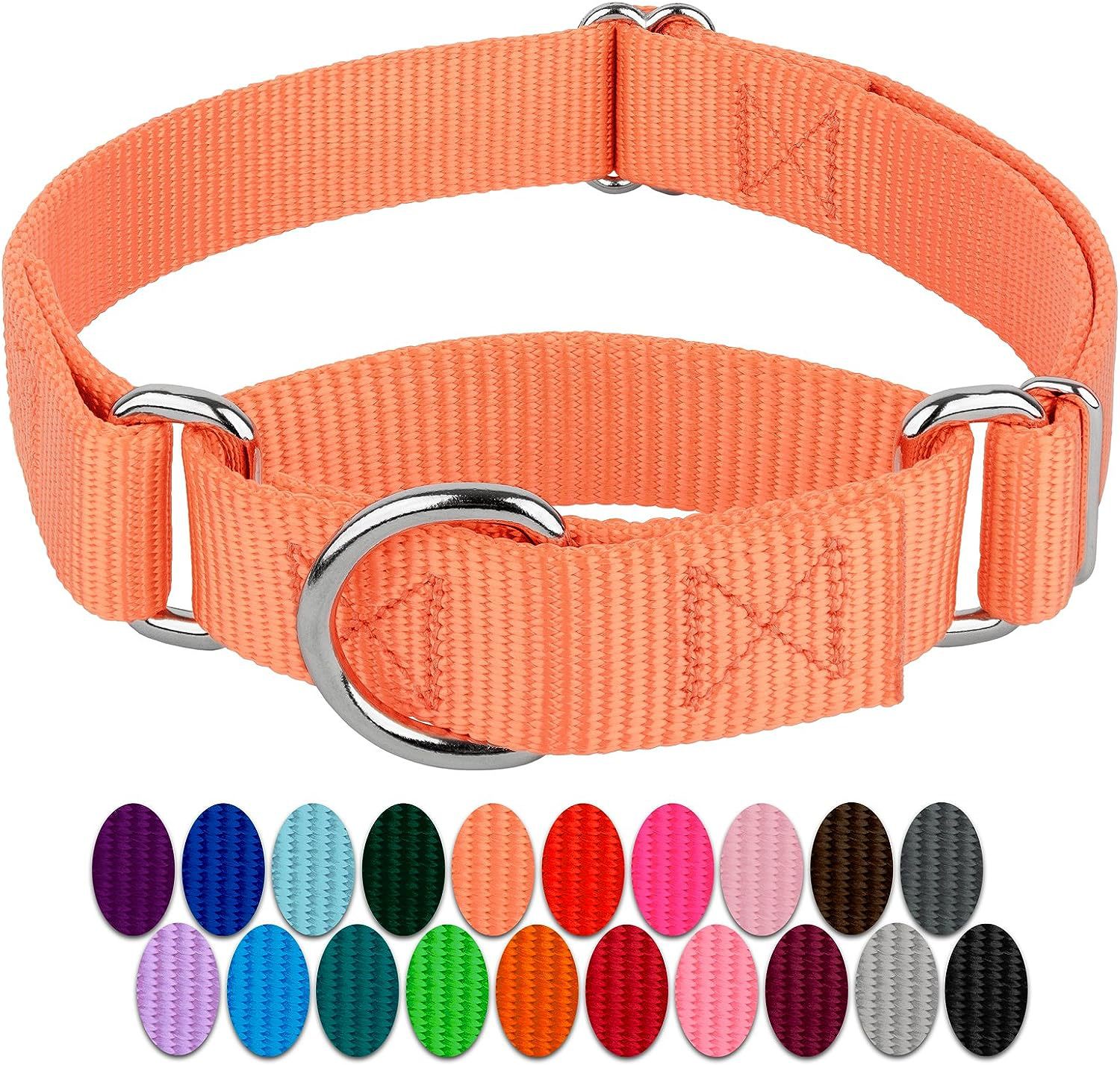 Pet Supplies Wholesale Dog Chain Pet Collar Neck Set Dog Leash Nylon Custom Tactical Pet Collar Walking Dog Leash Collar