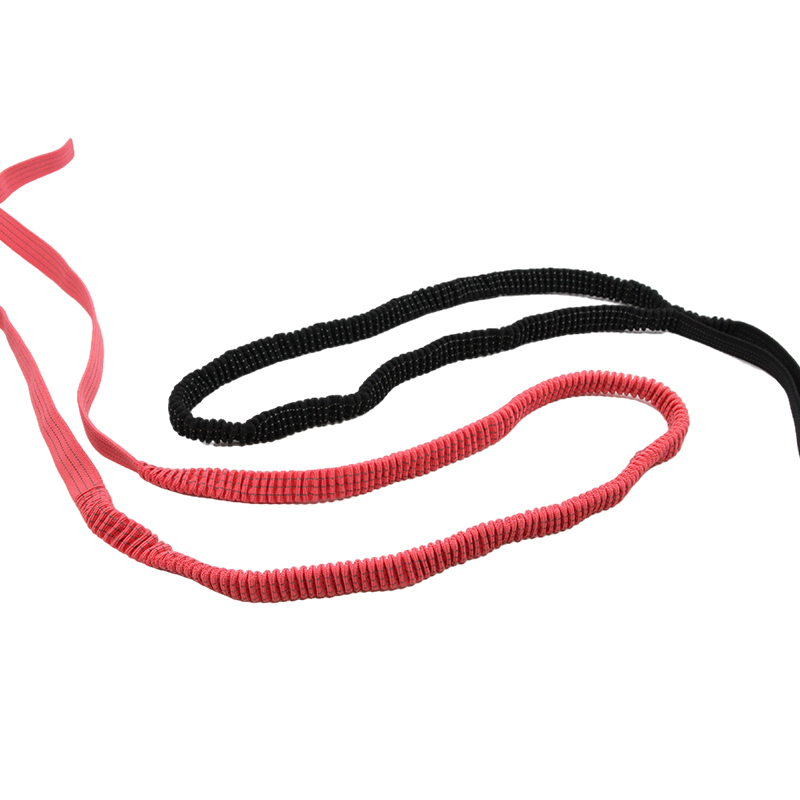 2024 Custom Colorful Polyester Elastic Webbing Bungee Elastic Band For Dog Pet Lead Leash Polyester Elastic Leash