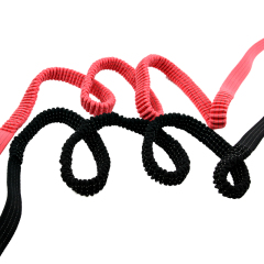 2024 Custom Colorful Polyester Elastic Webbing Bungee Elastic Band For Dog Pet Lead Leash Polyester Elastic Leash