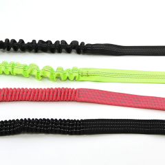 2024 Custom Colorful Polyester Elastic Webbing Bungee Elastic Band For Dog Pet Lead Leash Polyester Elastic Leash