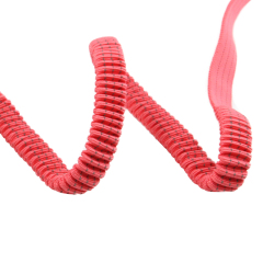 2024 Custom Colorful Polyester Elastic Webbing Bungee Elastic Band For Dog Pet Lead Leash Polyester Elastic Leash