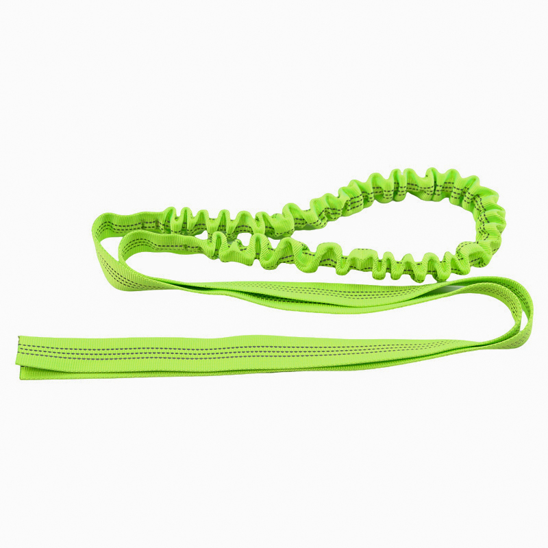 2024 Custom Colorful Polyester Elastic Webbing Bungee Elastic Band For Dog Pet Lead Leash Polyester Elastic Leash