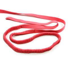 2024 Custom Colorful Polyester Elastic Webbing Bungee Elastic Band For Dog Pet Lead Leash Polyester Elastic Leash