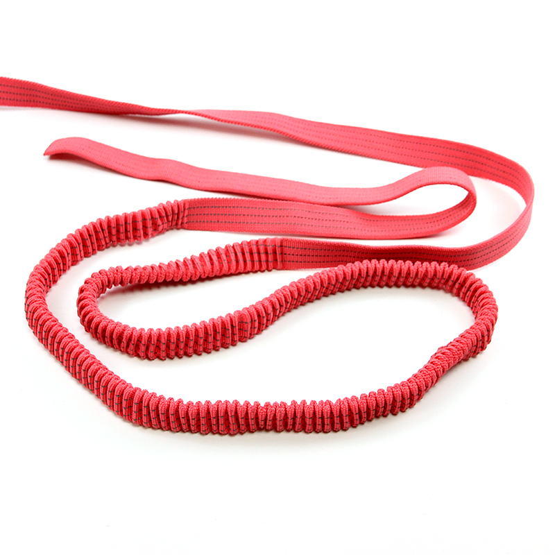 2024 Custom Colorful Polyester Elastic Webbing Bungee Elastic Band For Dog Pet Lead Leash Polyester Elastic Leash