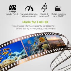 Wholsale Mirco SD Card 16GB 32GB 64GB 128GB Memory Card TF Card with Adapter