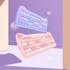 Cut Cat 2.4G Wireless Ergonomics Keyboard Set Mixed Candy Color Keycap Keyboard and Mouse Comb for Laptop Notebook PC Girls Gift