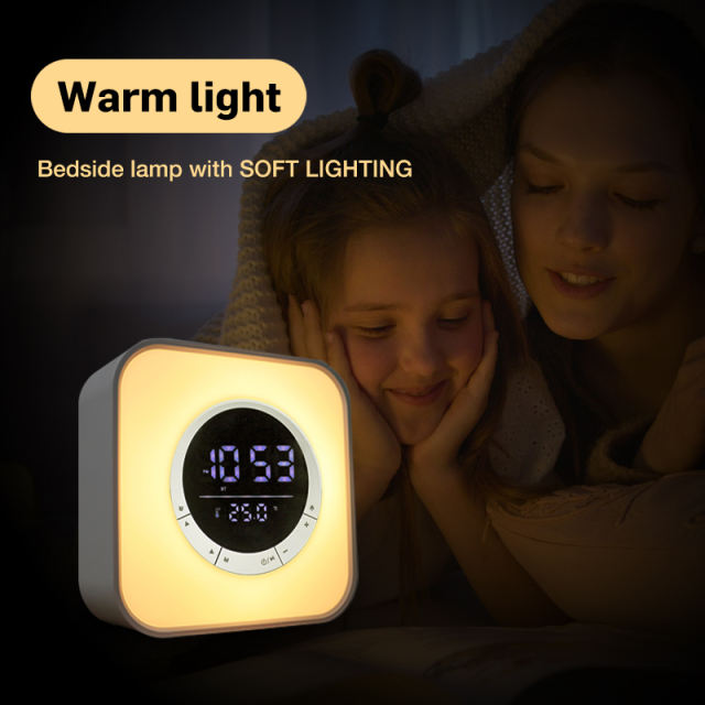 Wireless Bluetooth Speaker Bedside Lamp with LED Touch Night Light RGB Color Changing Alarm Clock Wake Up Lights for Bedroom