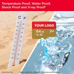 Sandisk high speed Micro SD Card 16GB 32GB TF Card 64GB 128GB Memory Card