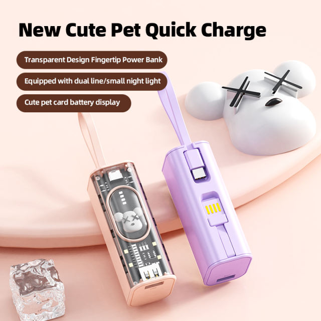 Mini Portable Charger Small Power Bank 5000mAh Battery Pack with Built-in USB C and LT Cables