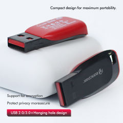 Factory Price 4gb 8gb 16GB 32GB 64GB 128gb 256gb 512gb USB Memory stick pendrive USB Flash Drive RD-U010