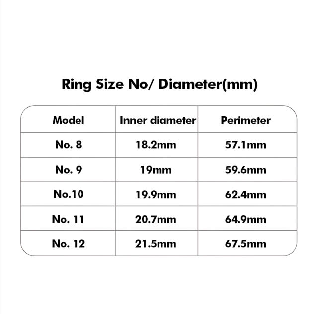 Smart Ring with Display | AI Wearable Device for Heart Rate, Blood Oxygen, Sleep Monitoring & Fitness Tracking | Multi-Function Smart Ring RC-SR004