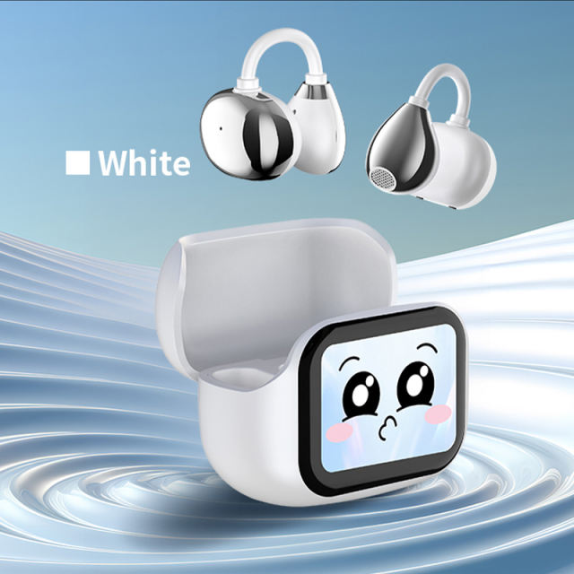 PLUS Smart AI Translation Wireless Earbuds with Color Touch Screen | ENC+ANC Noise Cancelling | Bluetooth 5.4 Headphones for Music &amp; Calls RC-AE08