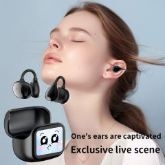 PLUS Smart AI Translation Wireless Earbuds with Color Touch Screen | ENC+ANC Noise Cancelling | Bluetooth 5.4 Headphones for Music &amp; Calls RC-AE08
