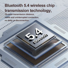 AI Translation Earbuds | ANC+ENC Noise Cancellation | Bluetooth 5.4 | 13mm Bass Driver | HD Calls & Smart App Link RC-AE13