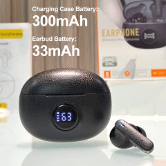 AI Translation Earbuds | ANC+ENC Noise Cancellation | Bluetooth 5.4 | 13mm Bass Driver | HD Calls & Smart App Link RC-AE13