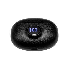 AI Translation Earbuds | ANC+ENC Noise Cancellation | Bluetooth 5.4 | 13mm Bass Driver | HD Calls & Smart App Link RC-AE13