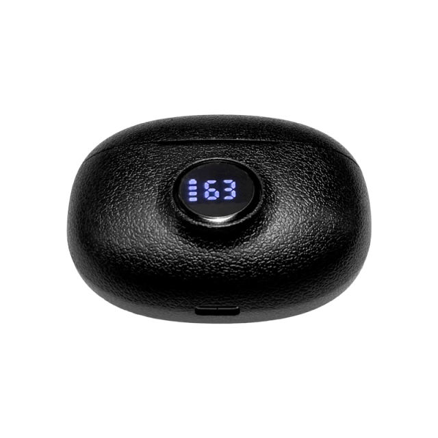 AI Translation Earbuds | ANC+ENC Noise Cancellation | Bluetooth 5.4 | 13mm Bass Driver | HD Calls & Smart App Link RC-AE13