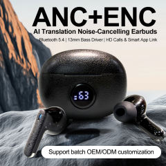 AI Translation Earbuds | ANC+ENC Noise Cancellation | Bluetooth 5.4 | 13mm Bass Driver | HD Calls & Smart App Link RC-AE13