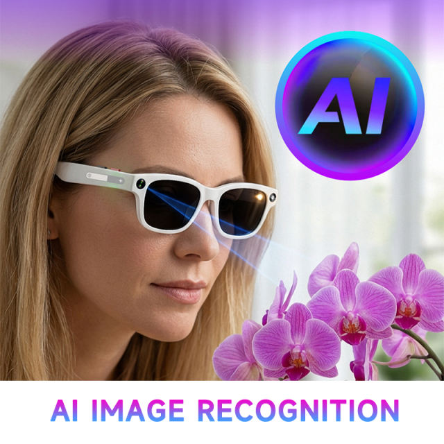 AI Translation Smart Glasses with 1080P Stabilized Camera, ChatGPT Voice Assistant, Bluetooth Music & Calls, WiFi Transfer, Magnetic Charging, RC-SG018