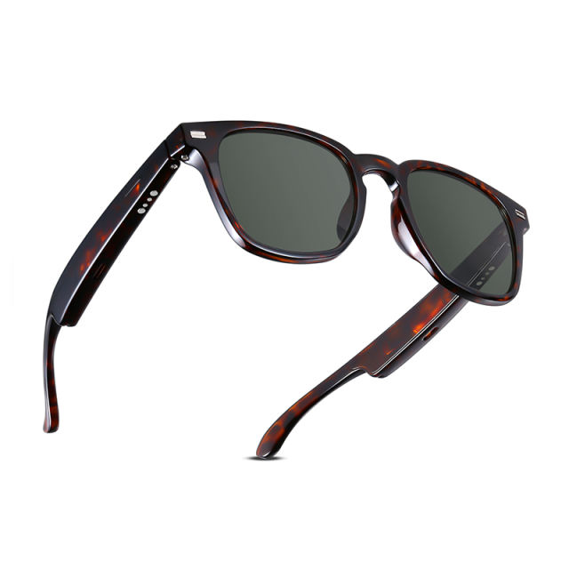 AI Audio (tortoiseshell) Sunglasses, Bluetooth Music &amp; Calling, AI Translation, Photochromic Blue Light Blocking Lenses, IPX4 Waterproof  RC-SG028