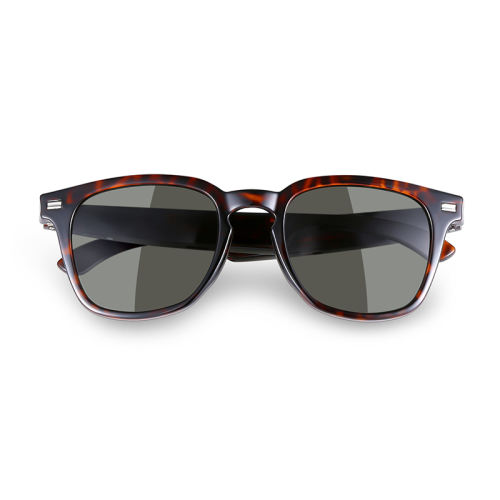 AI Audio (tortoiseshell) Sunglasses, Bluetooth Music & Calling, AI Translation, Photochromic Blue Light Blocking Lenses, IPX4 Waterproof  RC-SG028